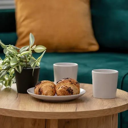 Bright & Cozy With Garden And Parking By Renters * Bielsko-Biała